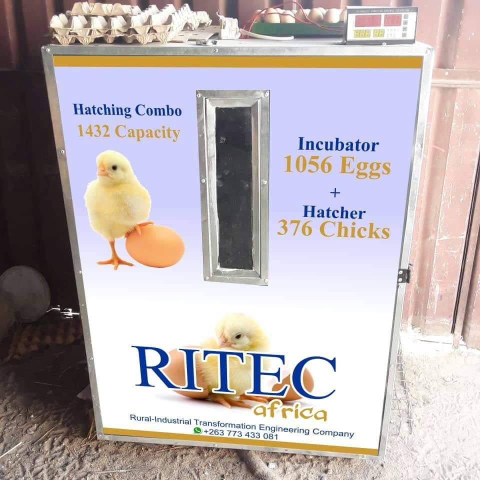 Munya99's tweet photo. @iMisred @redmarketsunday RITECafrica INCUBATORS EGG HATCHING MACHINES!!!

Solar and Electric Egg Incubators Hatching Machines

From 100 eggs  to 7000 eggs Capacity incubators 

We are at 
No. 6 
Simon Mazorodze road
Mutare

Contact 
Engineer Chakanyuka
Call/WhatsApp
 0773433081 https://t.co/nVNqPbvT8I