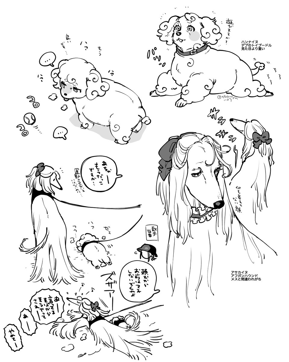 @sousakuTL これは名前より先に犬種が決まってた人たちの絵・・・ 