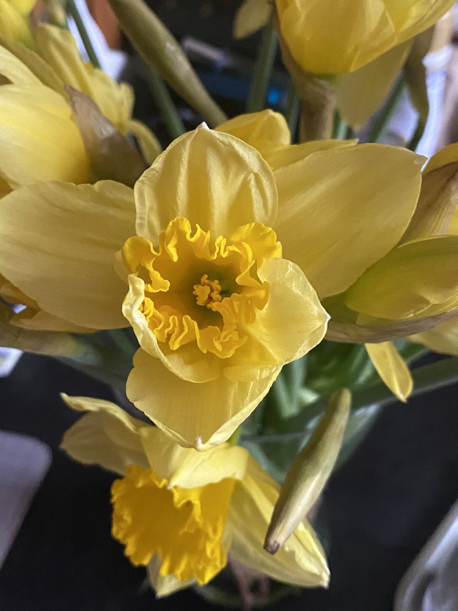 @CoLAHG_Drama tweet media