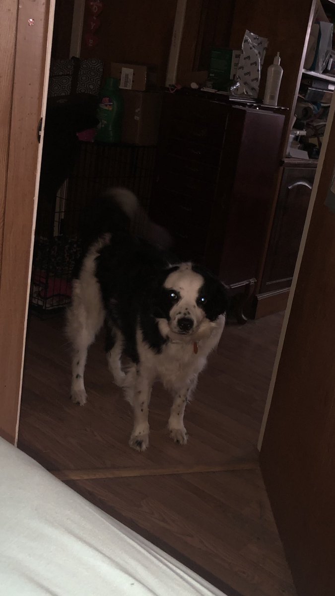 Hey it’s me…are you up yet???