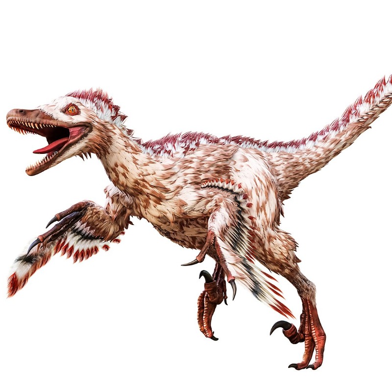 BBCRadio4's tweet photo. Some dinosaurs developed wings and feathers, but had no hope of flying.