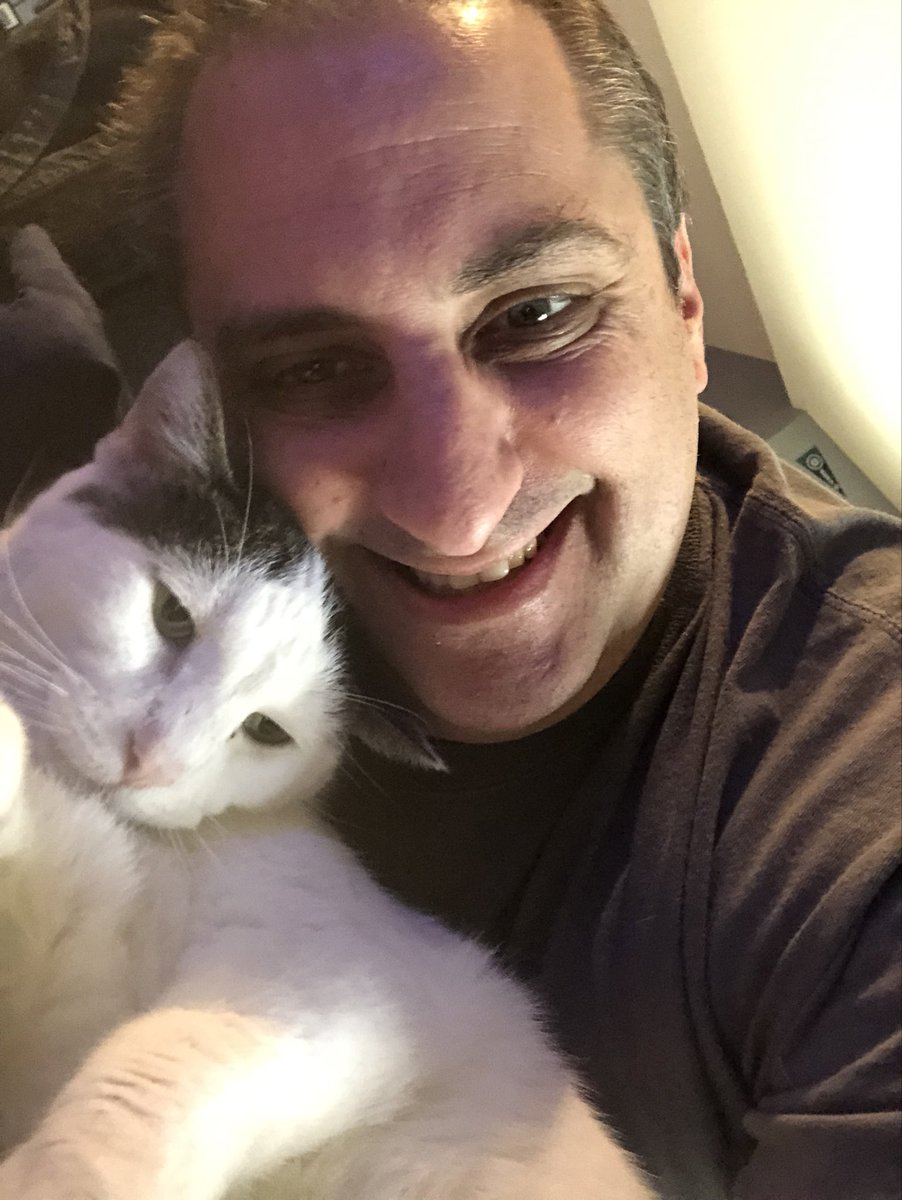 SpockPawspurrs's tweet photo. Please wish my Dad a happy 2/3 birthday! #GettingOldTogether #meowmeow https://t.co/ApcLnt2LpP