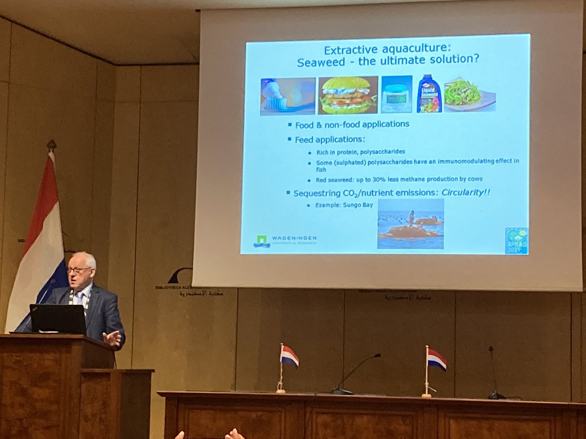 dabbadie's tweet photo. Is seaweed the ultimate solution for extractive aquaculture? asks @JohanVerreth during #AFRAQ21 #Seaweedemoji https://t.co/JiLkW0Byg4