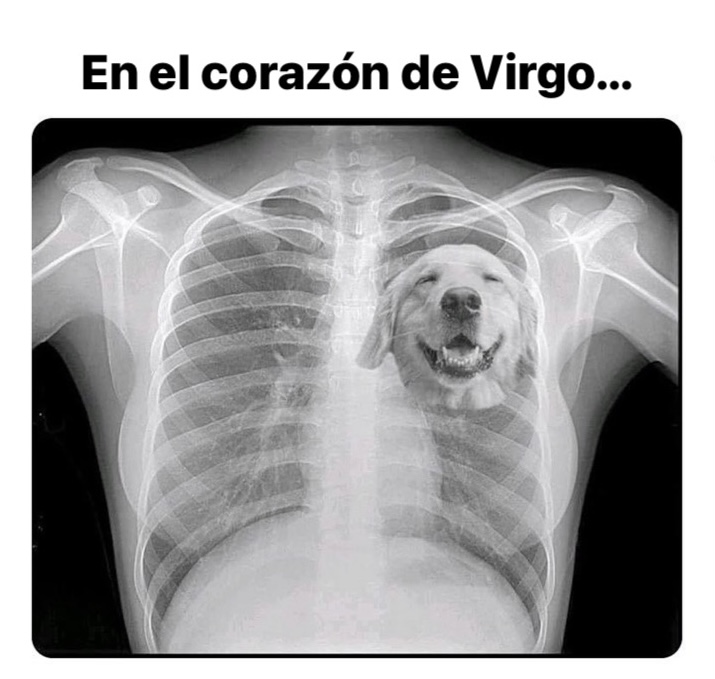 virgo_hn's tweet photo. Solo hay hueco para los mejores 🖤 https://t.co/6TW9quOpJT