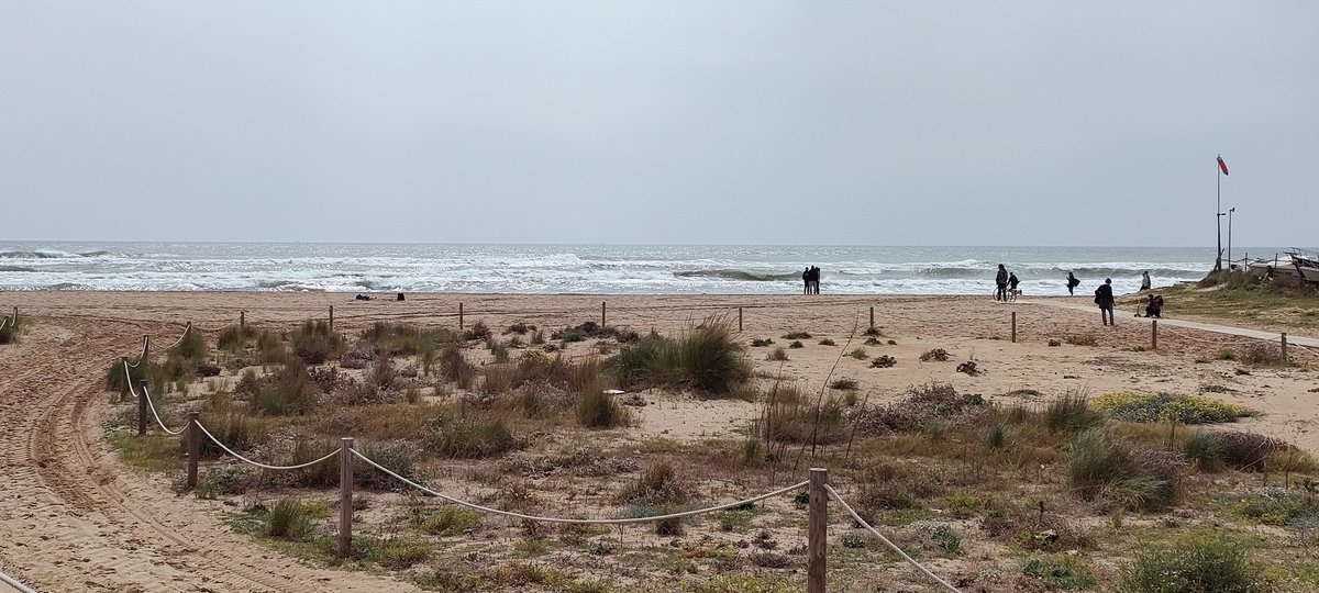 EtxebeRS's tweet photo. Vamos a la playa... Oh oooh oh oh!
#Castefa https://t.co/OukvM32SiI