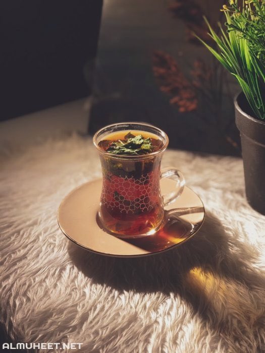 اسامح لاارتاح واتناسى لاابتسم واصمت لاني لااريد ان اجادل واتجاهل لان شي يستحق واصبر لان ثقتي بالله ليس لها حدود النفس الطيبه لايملكها الا الشخص الطيب والسيره الطيبه هي اجمل مايتركه الإنسان