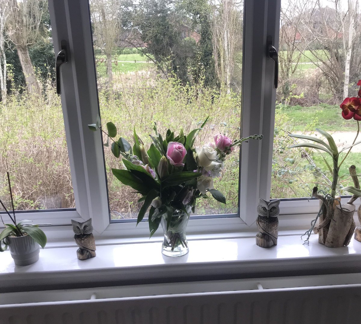 Thank you to Elliot &amp; Ross for the lovely flowers, wine and lunch out. Love you both ❤️