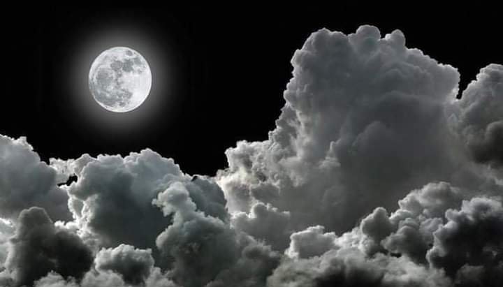 Leadekei Alois (@alois_leadekei) on Twitter photo 