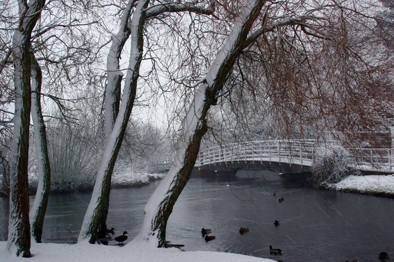 SomethingNoo's tweet photo. My Salisbury photographic competition entries! @SalisburyCath @ExperienceSalis #traditionaloriginal https://t.co/KzUq4WE2To
