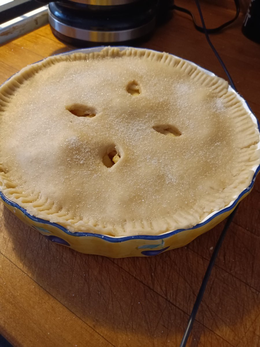 LovesLupi's tweet photo. Look what I did. Home made apple pie. Dessert for the #NASCARatCOTA race today. @Lovemyfamoffour @bleakblossomm @matthumphreycar @ThePostman68 #OurBestLife https://t.co/G1CzzBVVxP
