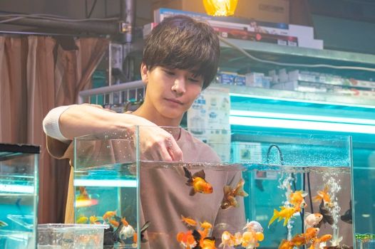 お買い物 金魚妻 のガラス細工の琉金の 京都にて購入 Encontrarte Com Br