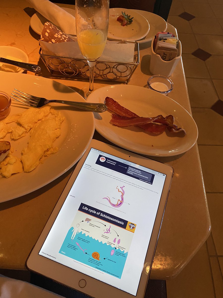 acanthabella's tweet photo. Prepping for our #NephMadness this coming Tuesday @OchsnerNephro
*I love, love, love these infographics @AJKDblog !
#nephtwitter #MedTwitter #brunchessentials https://t.co/YgtryXuMyv