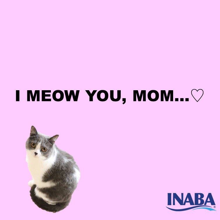 INABA_UK's tweet photo. Happy Mother's day to our paw moms💐! 
We meow you ❤🐱

#mothersday #motherslove #cat #cats #CatsOfTwitter #catlover #catlovers #CatsOnTwitter #kitty #kittycat #kittylove #kittygram #churu #inaba #ciaochuru #inabauk https://t.co/zhA6GUzUSG