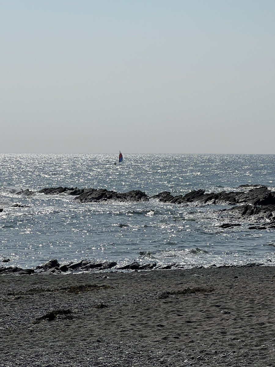 Isobel Bryce tweet media