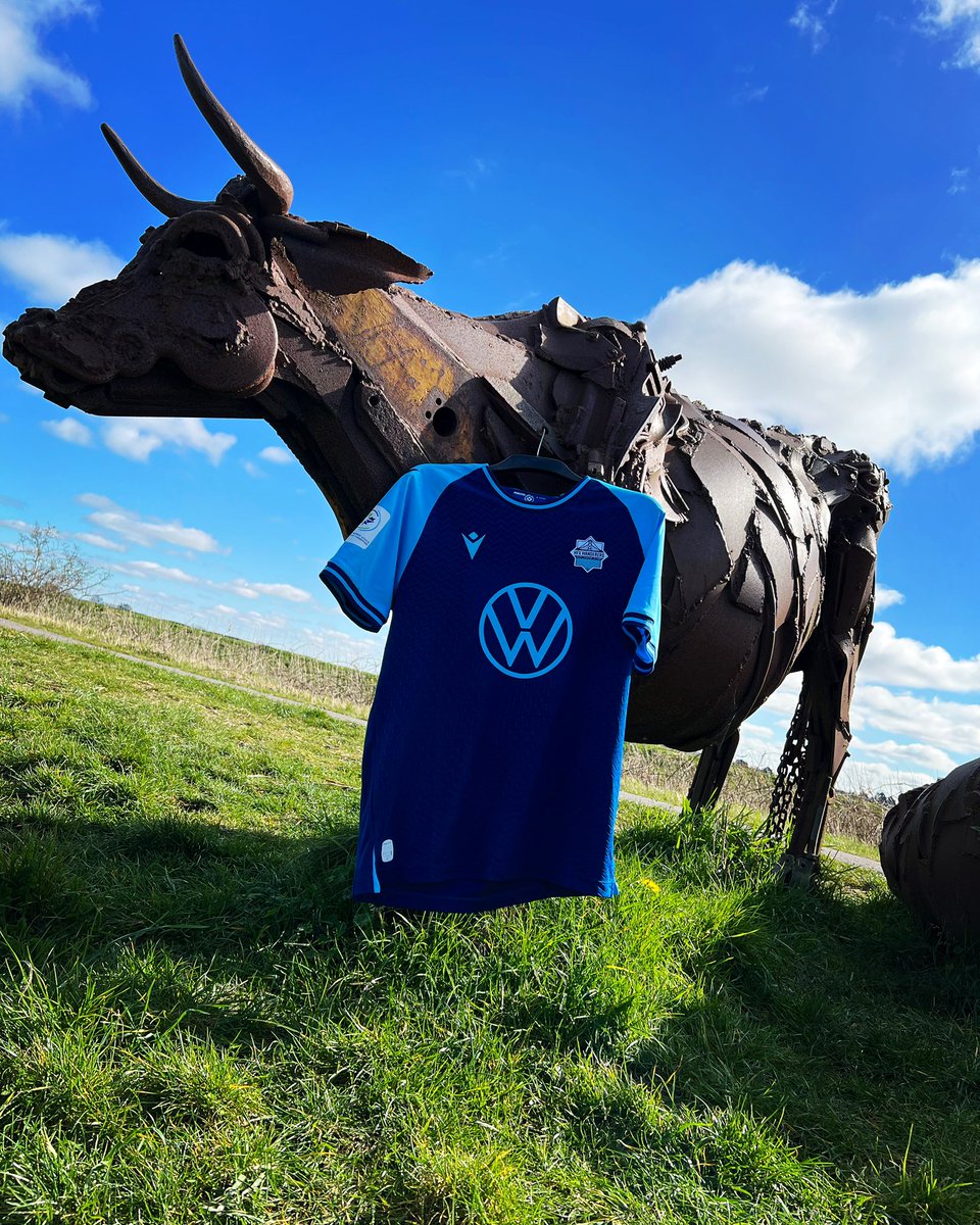 The_Kitsman's tweet photo. Wild Shirts 6๏ธโฃ2๏ธโฃ
๐ Halifax Wanderers FC
(@HFXWanderersFC)
#Wildshirts ๐พ
#CPLWeek ๐ https://t.co/bmg7x4lQyu