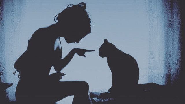 HauntedHorns's tweet photo. A secret conversation. https://t.co/b6wBUGFi1k