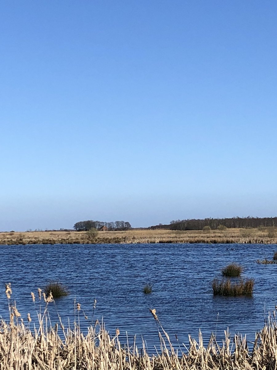 slaoperij's tweet photo. Vandaag Fochterloërveen doorgefietst #natuur #fietspaden #uitkijktoren #Fochteloo #prachtige dag #voorjaar #zomertijd https://t.co/CRSBrxS5wd