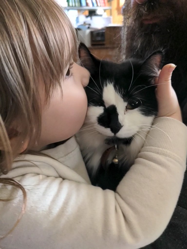 DillyBartheCat's tweet photo. my humans love me and i love my humans https://t.co/Qc5GyeMnOn