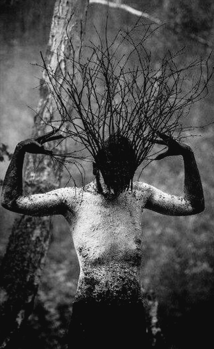 NIN75_ tweet picture