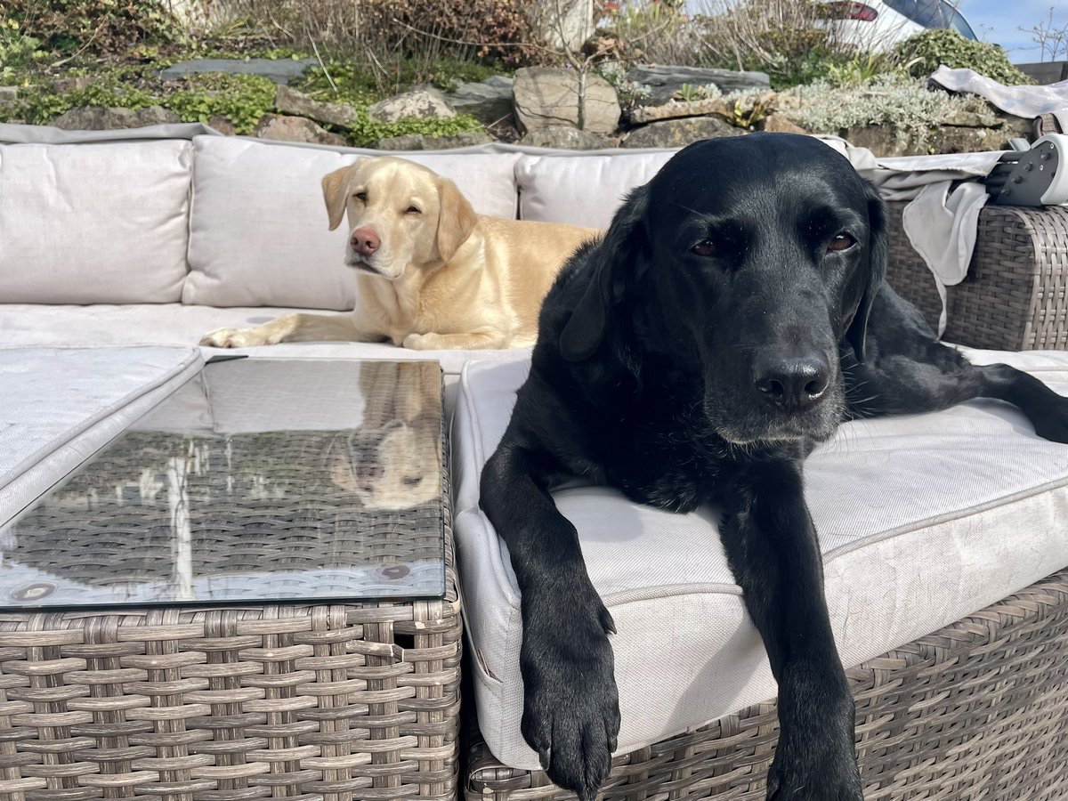 Andrew Cotter tweet media