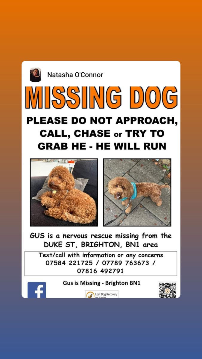 NGoulbourn's tweet photo. @BrightonHoveCC @CapitalBrighton @YBandH @latestbrighton https://t.co/zStm7mTvnF