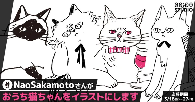 【限定5名】おうちの猫さんをイラストにしちゃおう!
3/27まで!期間限定受付本日受付ラストです!3/24-3/27(2件当選)
おうちの猫さん描くよ。
気になった人は下記どうぞ～!
ただいまリクエスト受付中!
#フォーゼロスタジオ https://t.co/SI2L1Dke5a
#有償依頼 