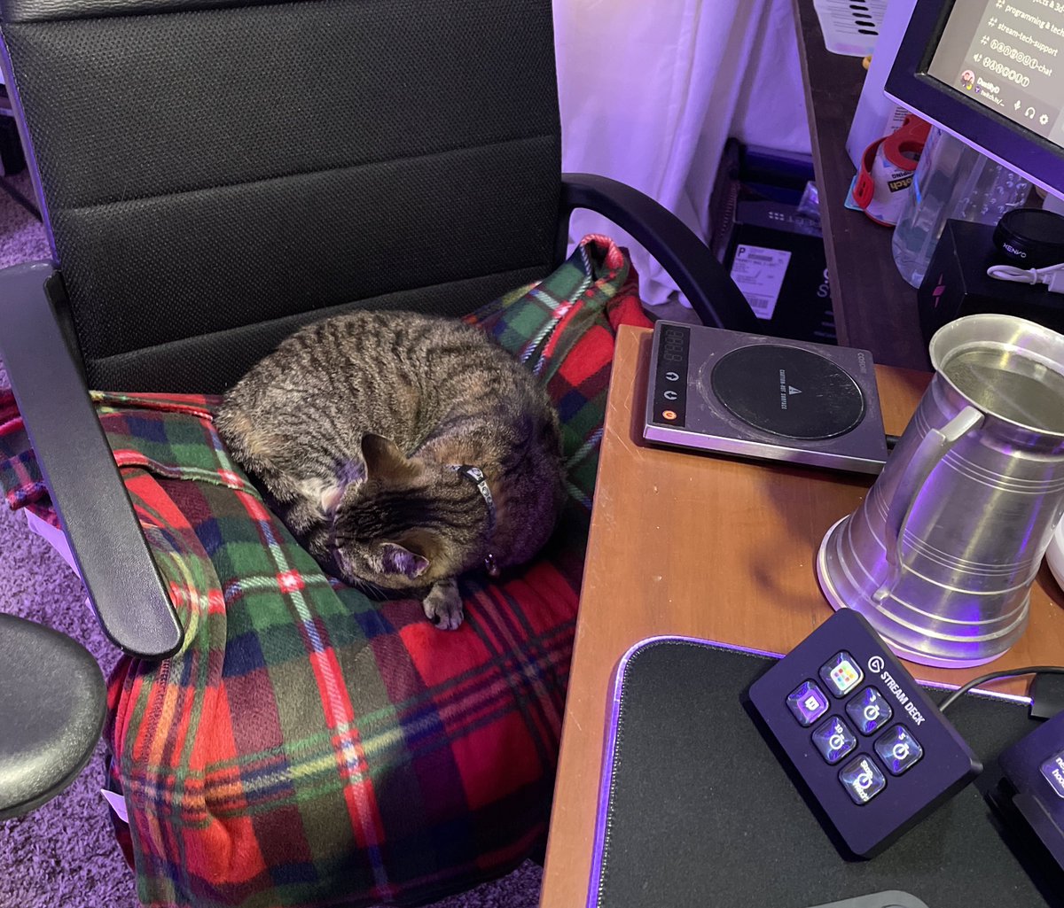 DustRyD's tweet photo. ChanCam Stream is about to begin!
Come say hi to Channie and *literally* send her a message on stream with @LumiaStream!
Can't wait to see you all there!! #streamingcat #DustRyD #BeyondTwitch #smallstreamer #twitchstreamer #gaming https://t.co/bwlp5SGJxs https://t.co/oPNKqVw4Is