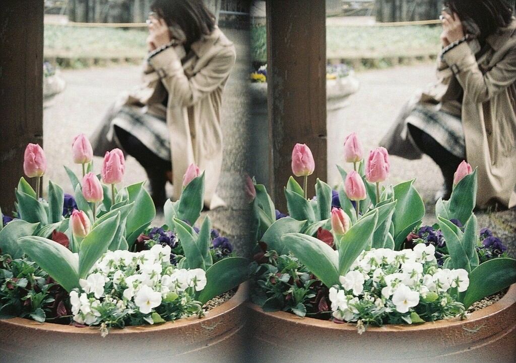 terugraphy08's tweet photo. *
🗓 2022.03
📍 #馬見丘陵公園
#film #stereophotography
📷 #olympusom2000 #pentaxstereoadapter
🎞 #superia400 #expiredfilm
==========
https://t.co/ld70J8wJfF https://t.co/JxeCf5vkGN