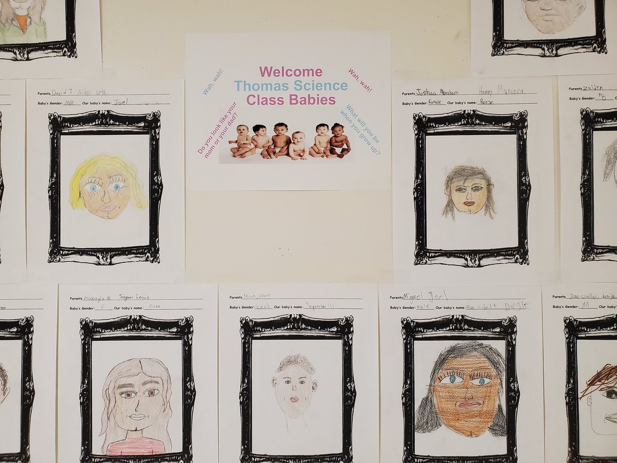 ThomasScienceEd🌱🦋🌎 tweet media