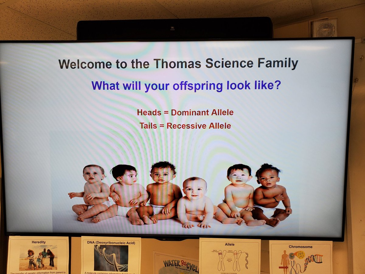 ThomasScienceEd🌱🦋🌎 tweet media