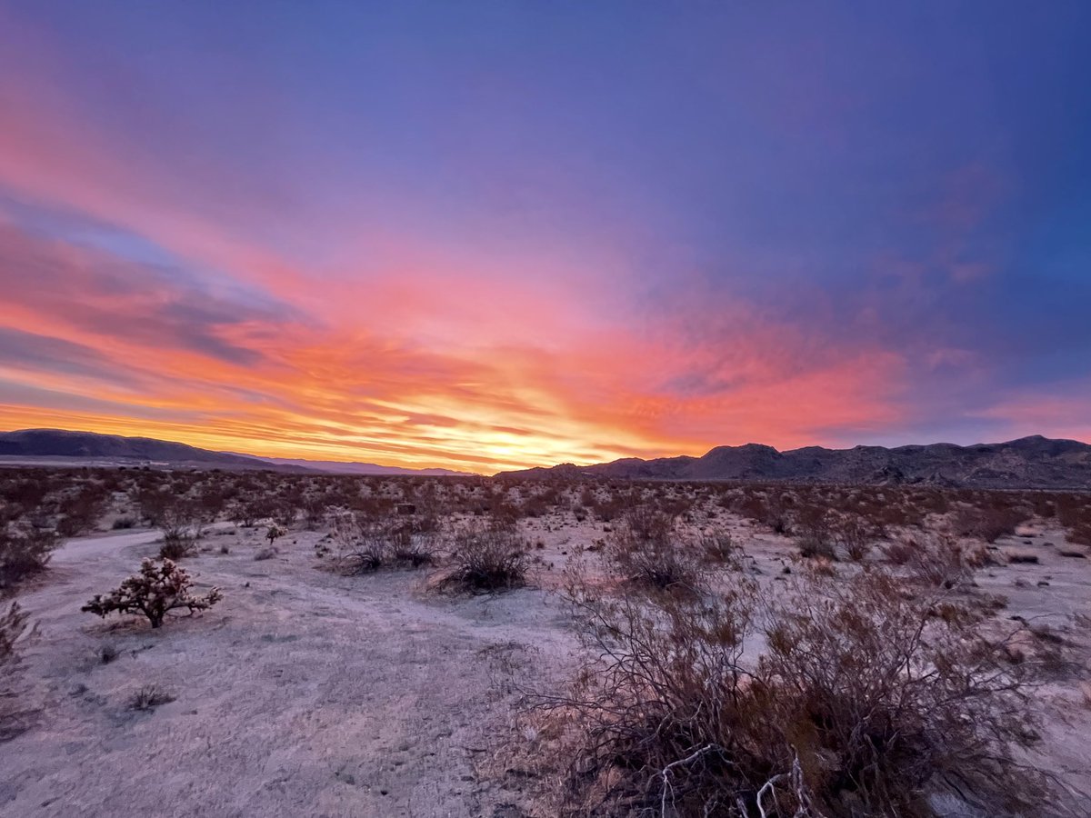 Josemd's tweet image. Good morning from #Joshuatree #california