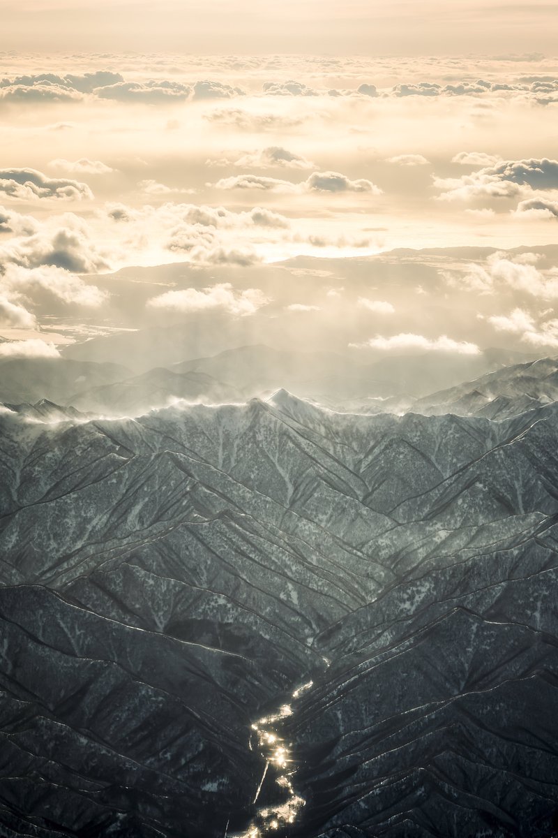 shino (@shino03) / Posts / X