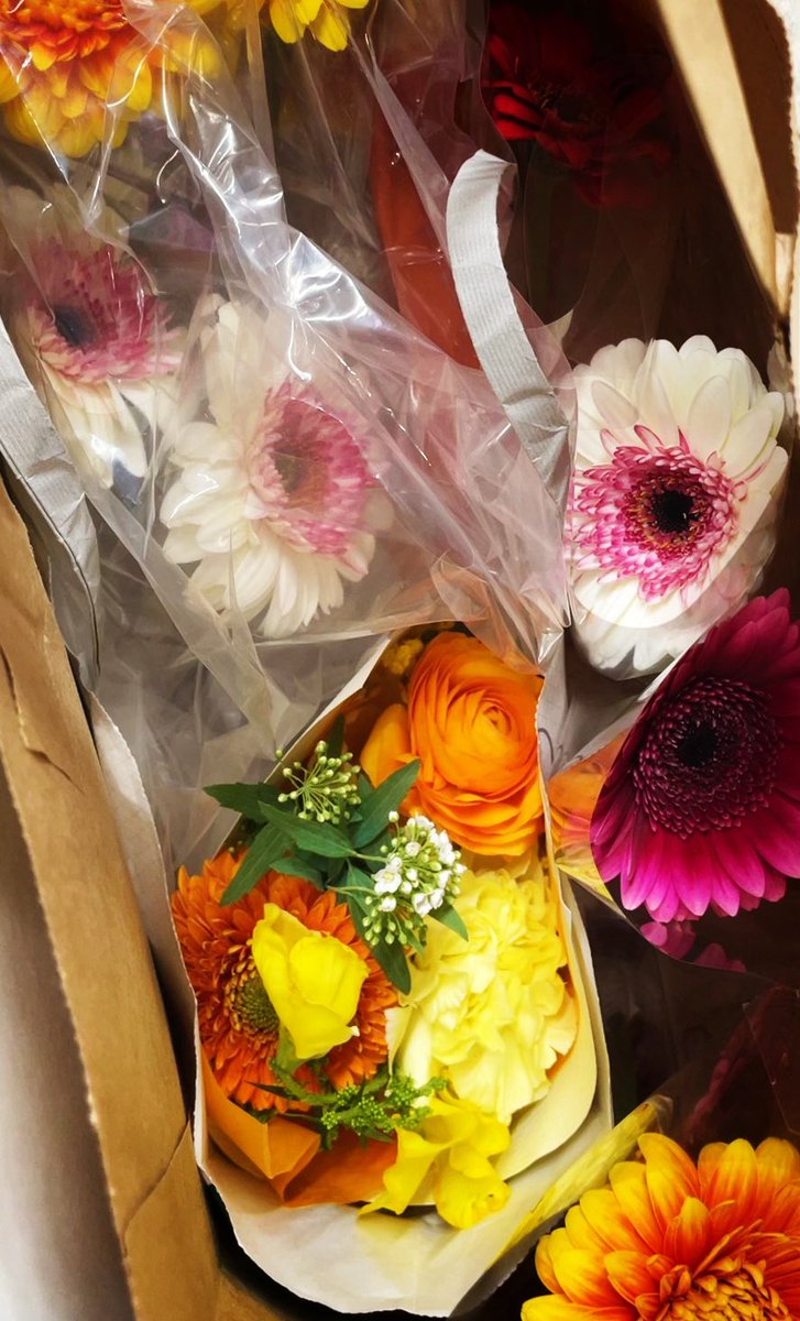 Nozomi_Inoue's tweet photo. …とんでもないことが起こりました。
花を持たせてくださった方々のことは一生忘れませんし、一生をかけて恩返しさせて頂きます。
そういう人間で在れるよう精進いたします。
また改めて感謝申し上げさせてください。
#msb #MSB #msb3 #MusicalShowBox
#ミュージカルショーボックス
#GrandMaisonORENO https://t.co/IS7KolaG4X