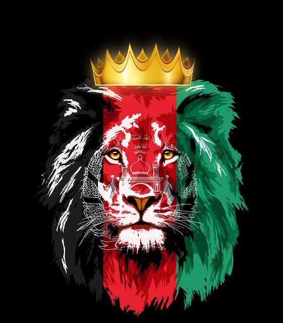 Azad_Afghan1's tweet photo. @Zabehulah_M33 https://t.co/mNB5yJ0bzn