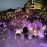 エRRRザ🥕👑☆ずっとLoveWeek🌹✨🧡のツイート画像