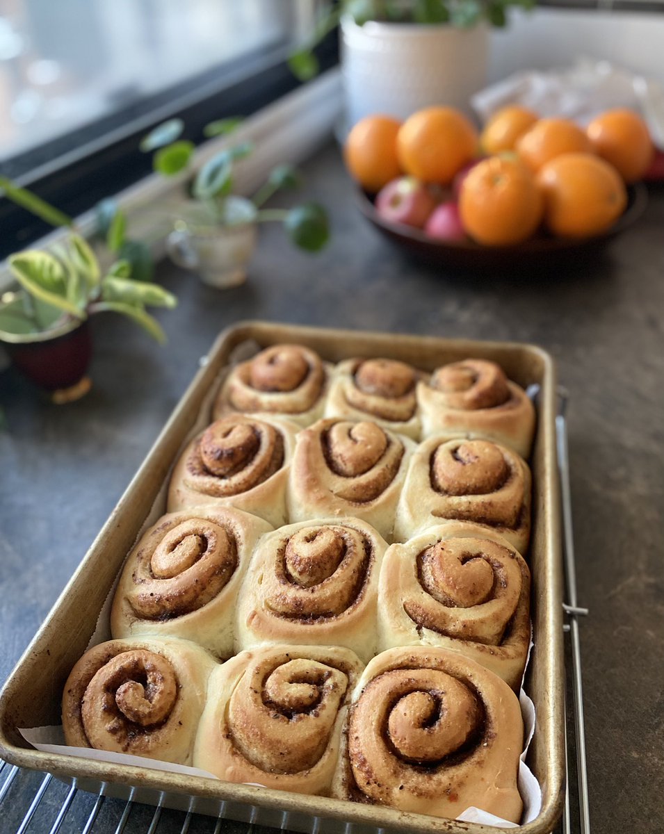 Cinnamon rolls. They are ready…<a href="/Struggl_bus/">Strugglebus</a>