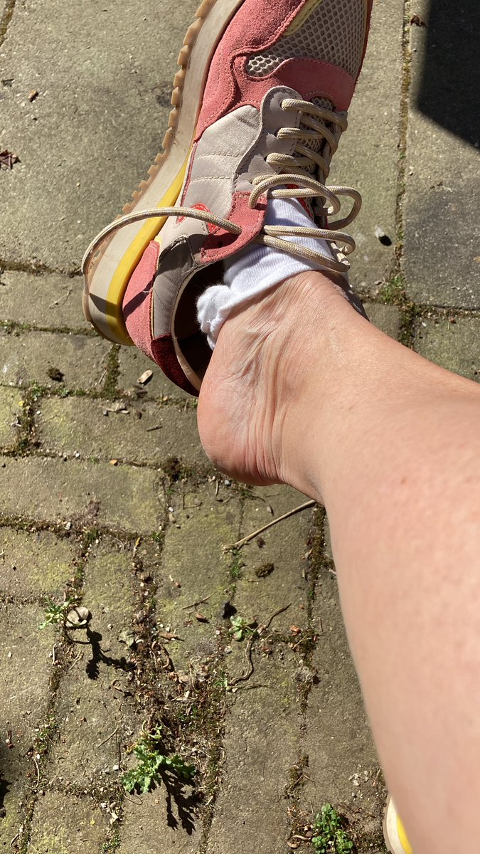 Majolijn Mutters tweet media