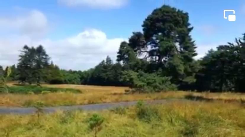 dlrheritevents's tweet photo. Free guided walks of Fernhill Gardens are available each Sunday in April at 11.30am as part of our Spring into Heritage series of guided walks and tours. All are free to attend but must be booked on https://t.co/Zgm3xaWMJ4
#heritage #history #guidedwalks #springintoheritage https://t.co/lSTao2XBfr