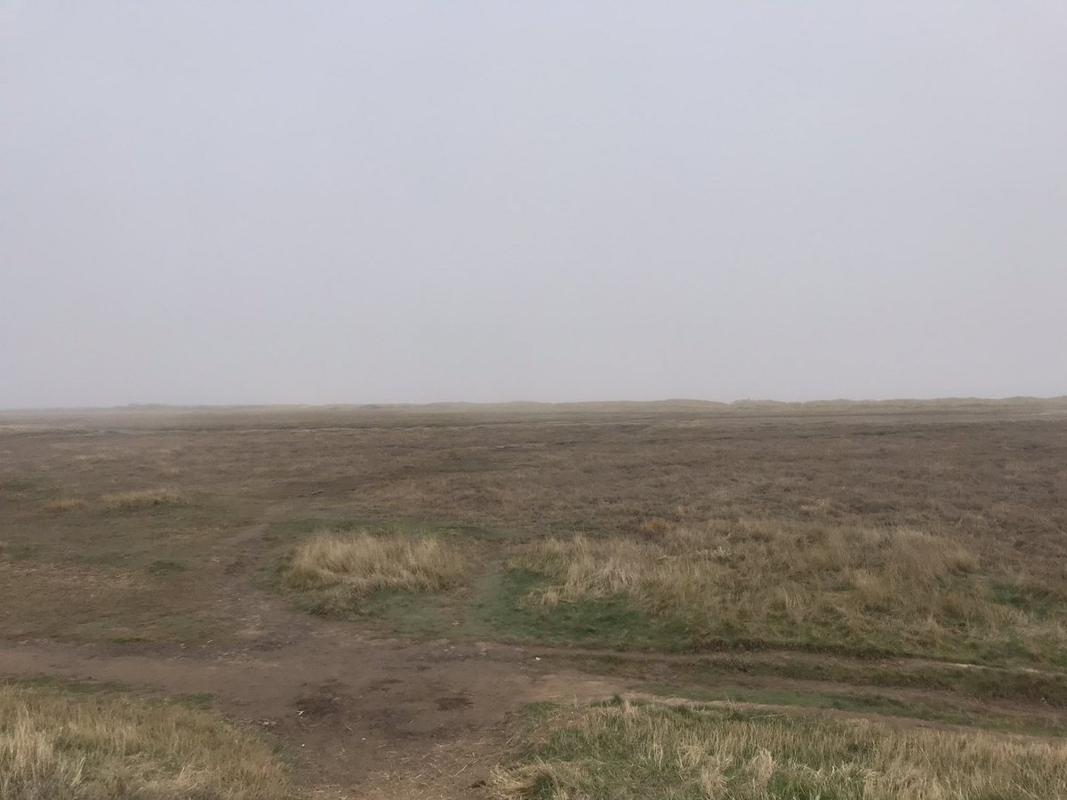 LumberjackCroc's tweet photo. Went to the beach today to get supplies for model making! Really frickin foggy https://t.co/jvWhh11D2t