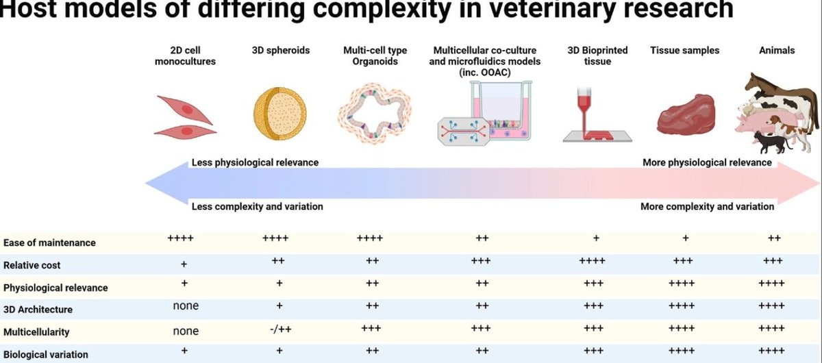 GeordieParasit's tweet photo. In vitro veterinary research is making great strides, with many recent exciting biotech developments and applications.

Our new review paper: Advancing animal health and disease research in the lab with three‐dimensional cell culture systems https://t.co/xRJanKB9XC
#organoids https://t.co/RToUDk7klz