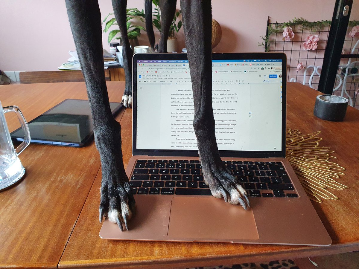 wagesforpages's tweet photo. Is it any wonder I've yet to pen a masterpiece? #writerslife https://t.co/xTLrQoQDQj