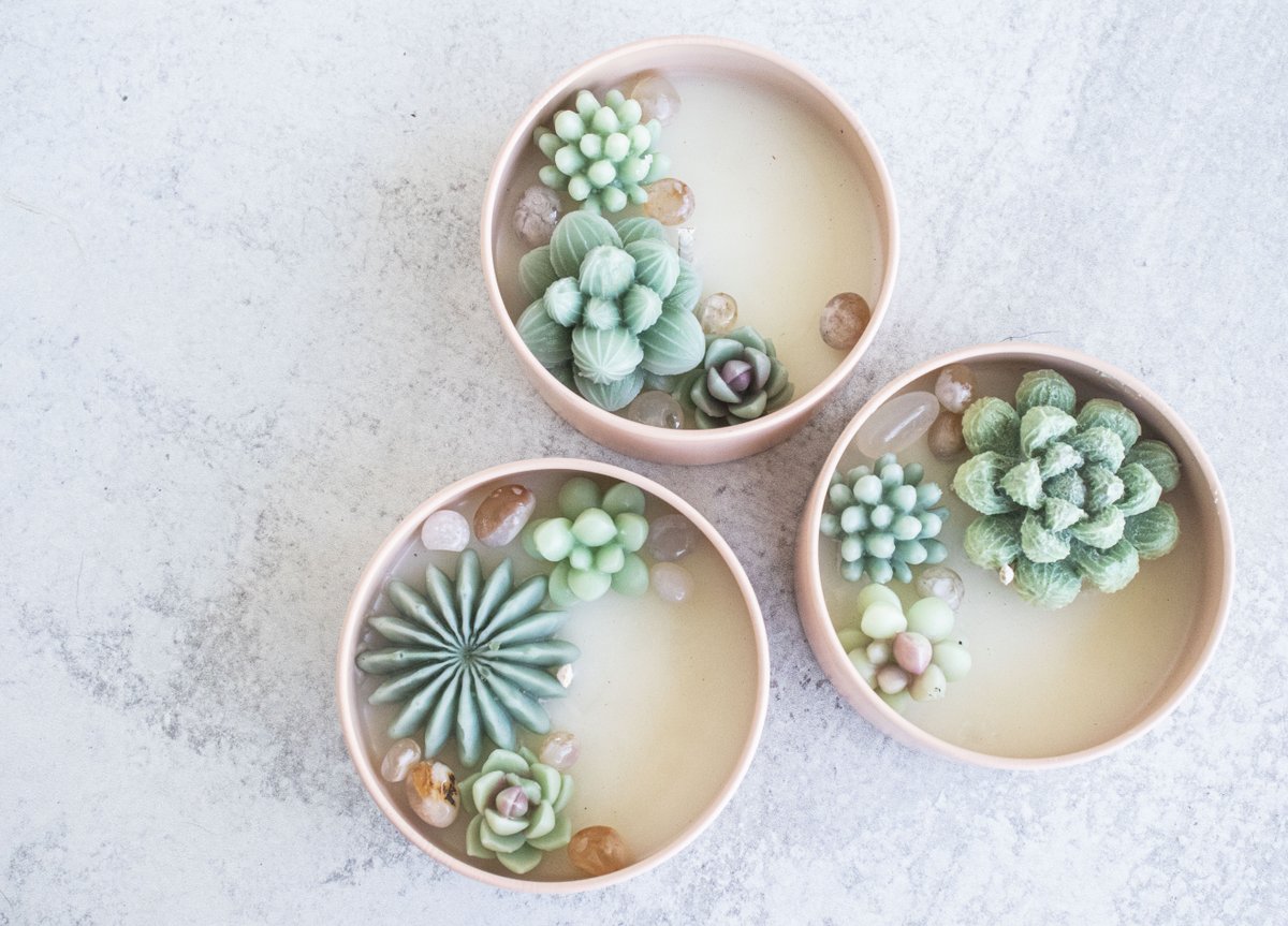 Wee baby succulents  🌵 Succulent Garden is smells like cactus flower and musk, and is decorated with handmade wax melts