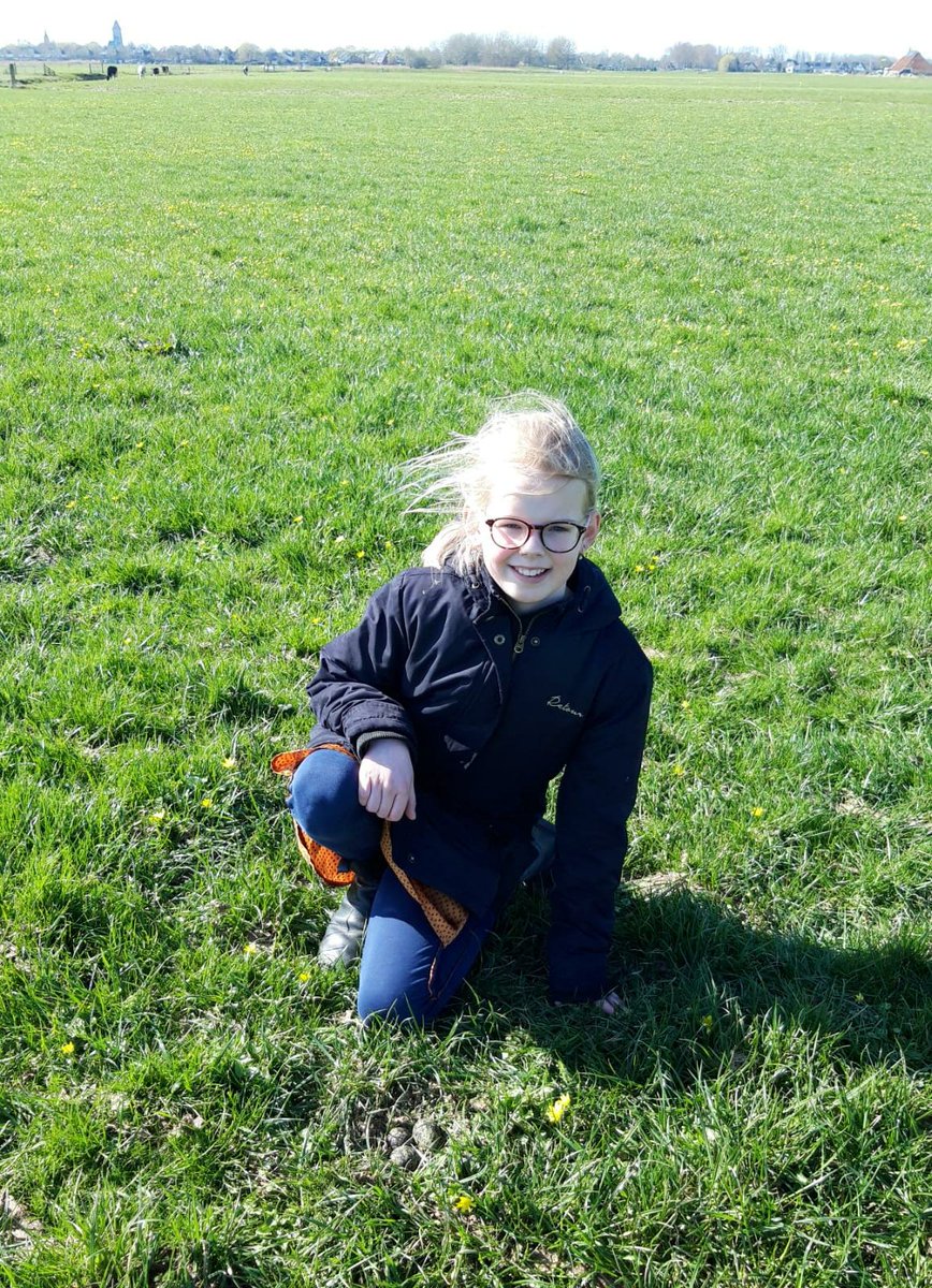 VogelwachtBolsw's tweet photo. Het eerste jeugd kievitsei van de vogelwacht Bolsward is zaterdagmiddag 26 maart 2022 gevonden door de acht jarige Fabiënne Palstra. Ze vond een nestje met drie eieren tussen Hartwerd en Bolsward in de landerijen van de familie Galema. https://t.co/GKoErzTPMI