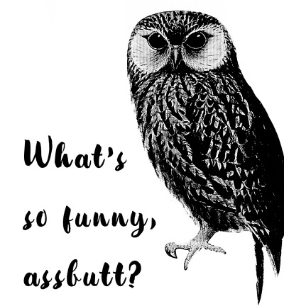 GoatsOfLetters's tweet photo. The Laughing Owl/Whēkau, native to New Zealand Extinct in the early XX century. The last known bird found in 1914. The species had succumbed to the clearance of its habitat to create farms, and to newly introduced predators. #Gish #BookBash #item54 @EffinBirds @audubonsociety https://t.co/LmJZIWXji0