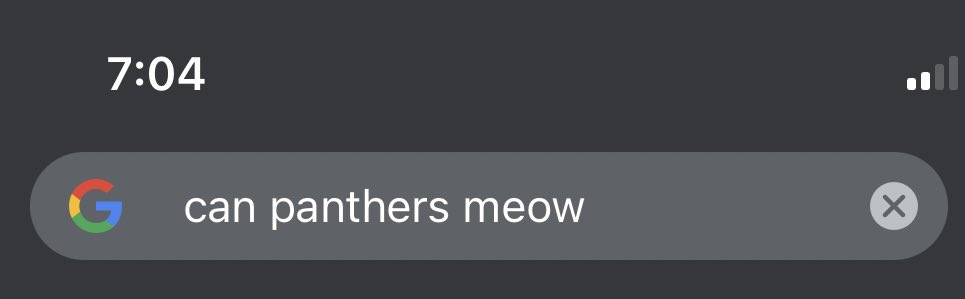 karierashell's tweet image. Me: I’m going to try and be as productive as I can this Sunday.
Also me, 5 secs later: