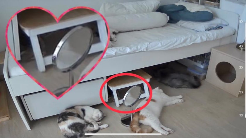 Panda_limited's tweet photo. @__bBEAN @_DNVP2_ https://t.co/ii8BKIOGk0
