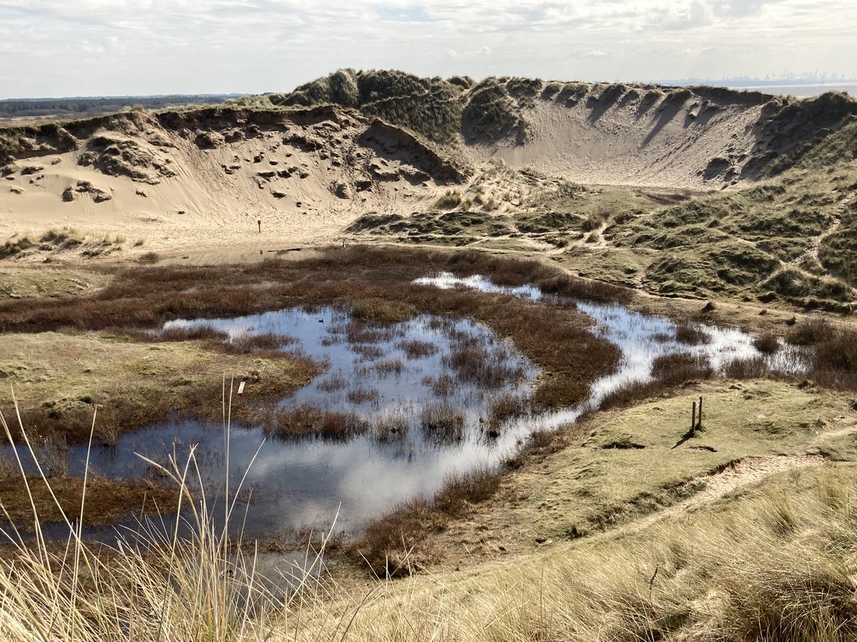 WalkingMunro's tweet photo. Enjoying the lovely March weather on Formby beach. My favourite place in the whole world. #Formby #Formbybeach #Formbyshore #itsadogslife https://t.co/9iAmqcEyzB