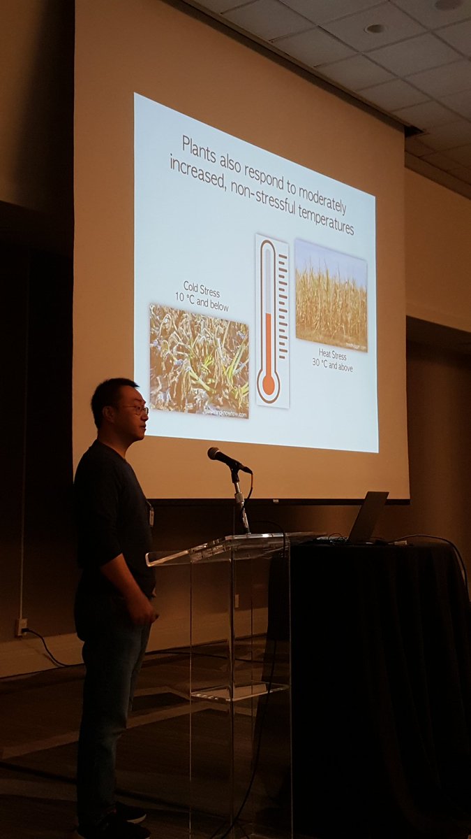 Thermomorphogenesis in response to increased temperature, a timely research by Dr. Qiu <a href="/ASPB/">ASPB</a> #SSASPB2022