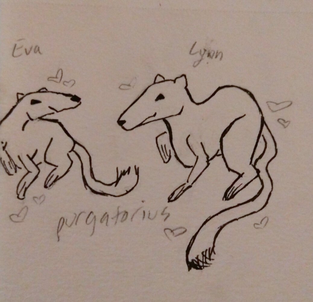 times_cigarette's tweet photo. here's two purgatorius because i love them and it's such a funny name for like, a squirrel with monkey teeth 🥺 ik it's named after the hill but it's just so hilarious to me, like who thought PURGATORIUS was fitting for this little rat lookin proto primate https://t.co/iQRYFcTGD9