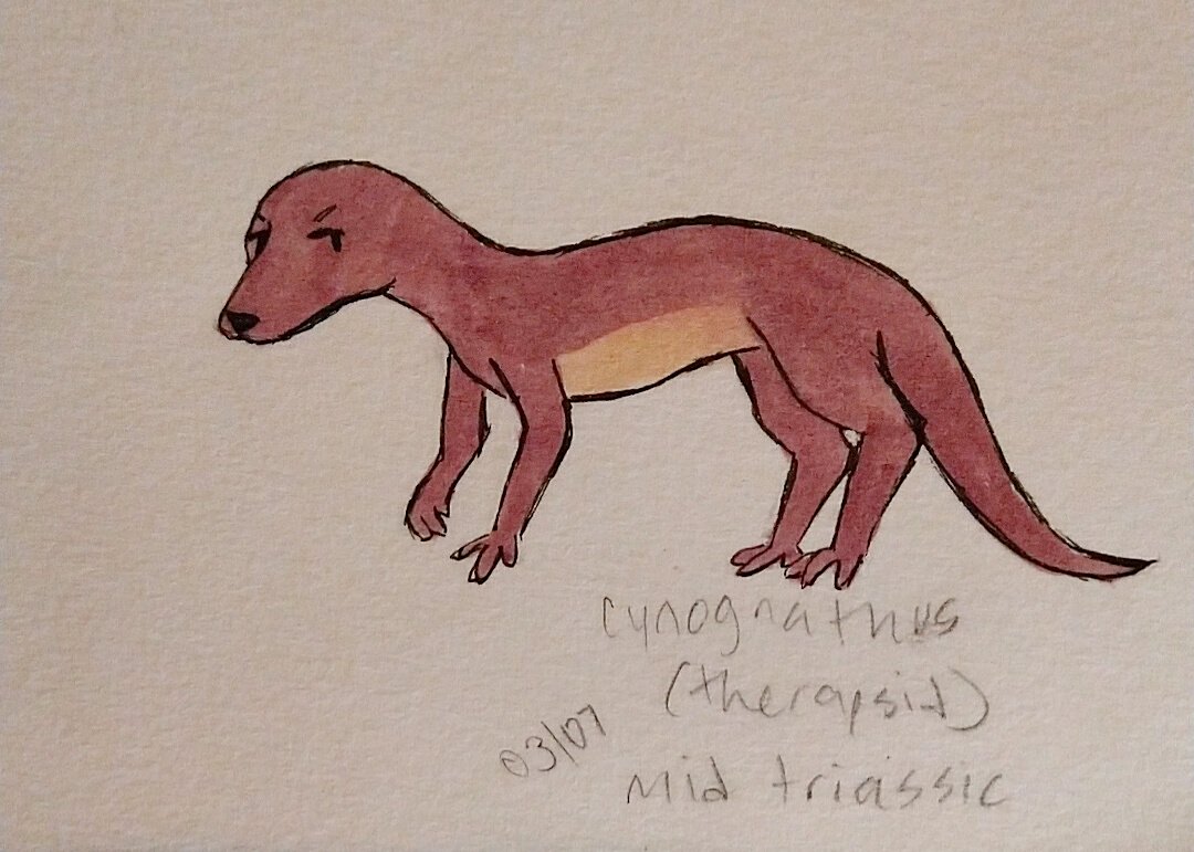 times_cigarette's tweet photo. cynognathus yeahhh https://t.co/B5vJUVWokW